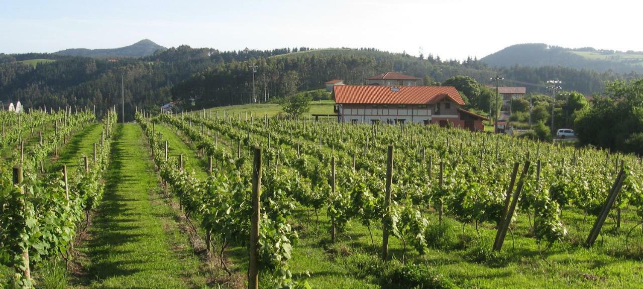 H&Ap Rural Merrutxu Ibarrangelu Dış mekan fotoğraf
